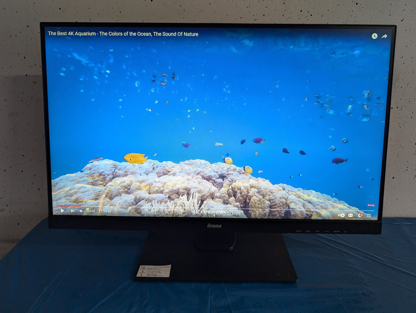 Moniteur de jeu Iiyama GB2730HSU 75 Hz 1 Ms 27"