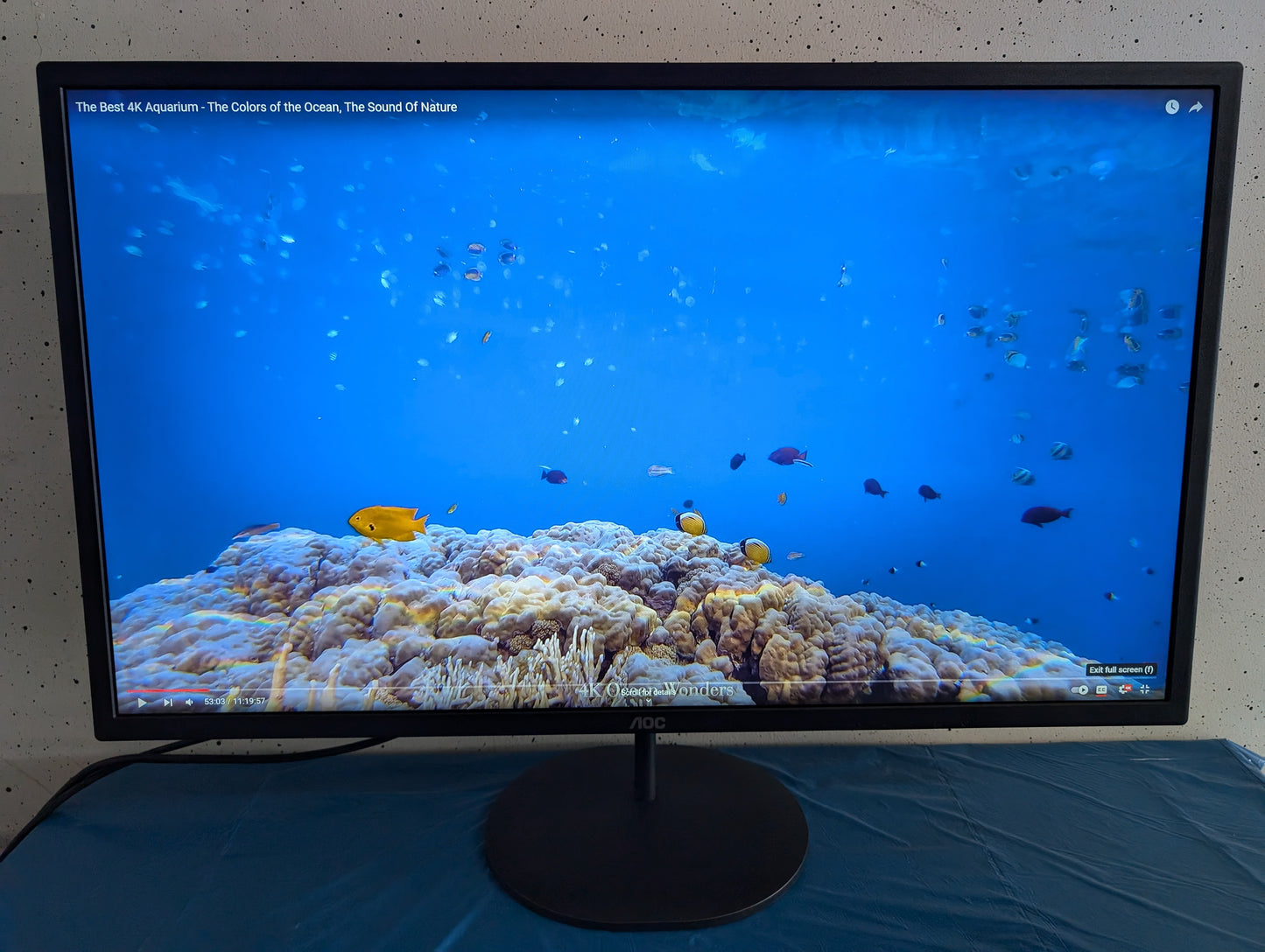 Aoc Q32V4 Ips 75Hz Qhd 32"